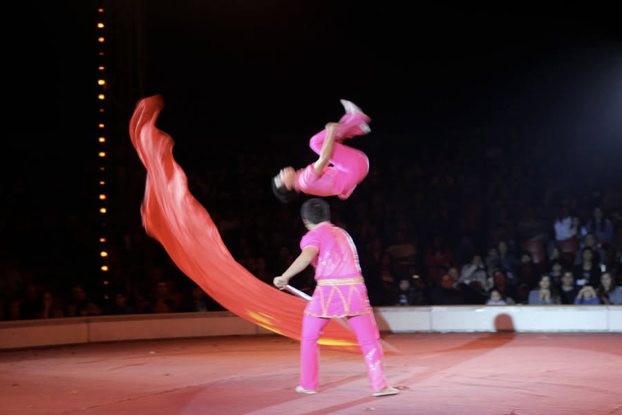 Circo del los Hermanos Fuentes Gasca ! (33 fotos)